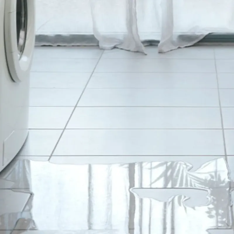 Appliance Leak Cleanup in Veazie, ME